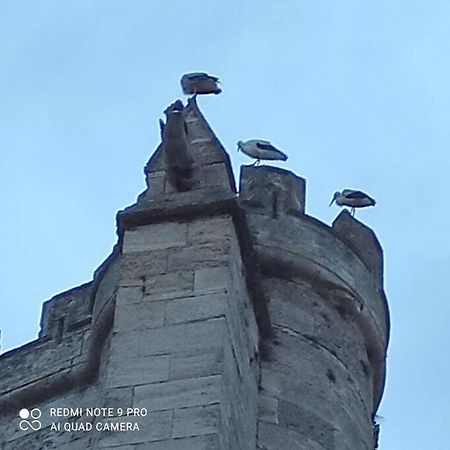 Logis Corneille I Lägenhet Narbonne Exteriör bild