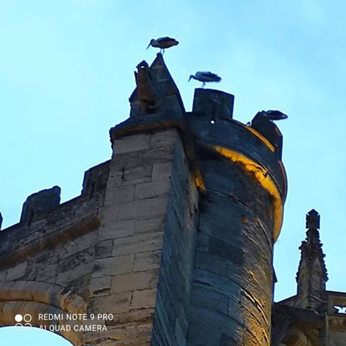 Logis Corneille I Lägenhet Narbonne Exteriör bild